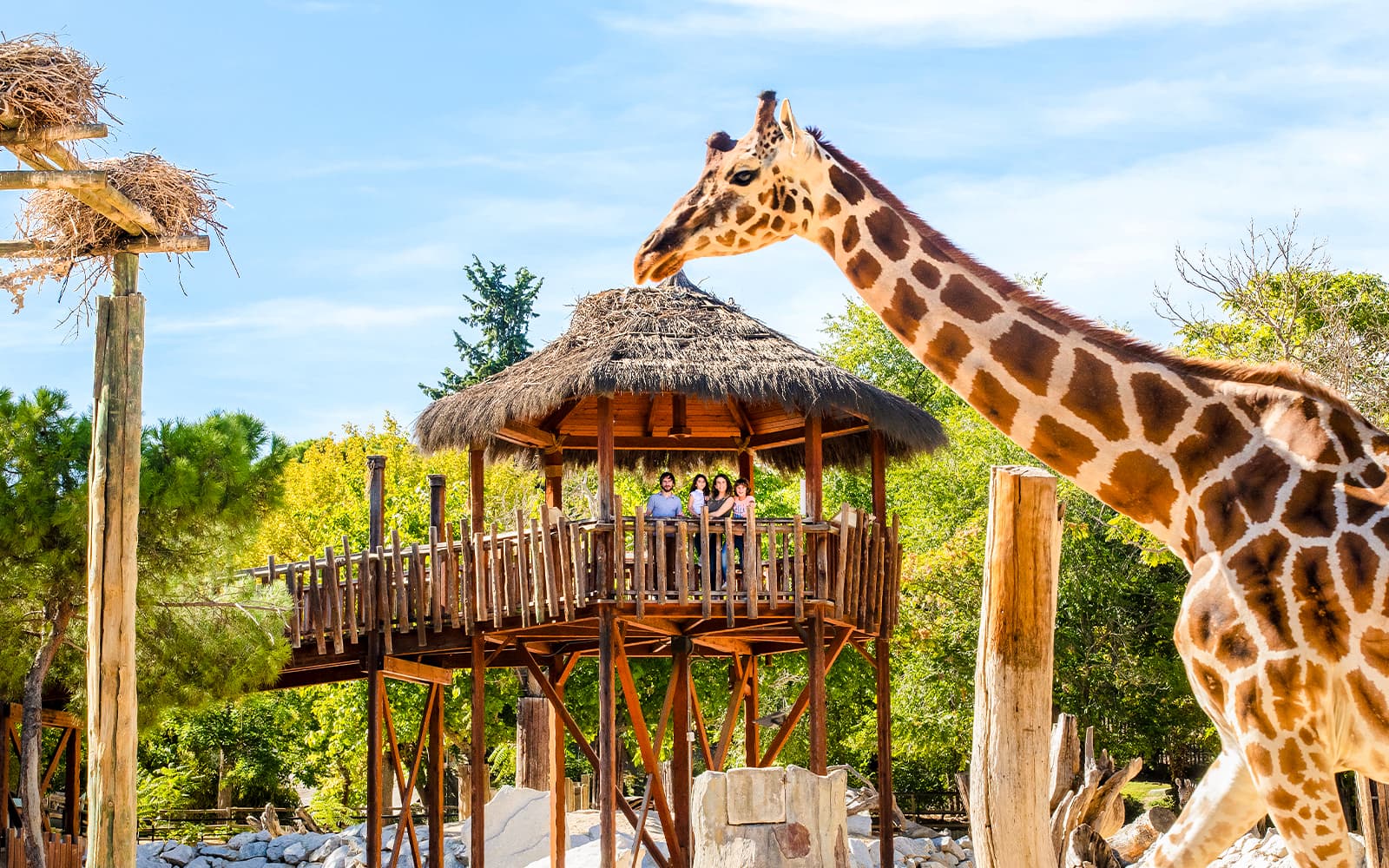 Combo (Save 5%): Madrid Zoo Aquarium + Atlantis Aquarium Tickets in Madrid - Activities | TickYourList