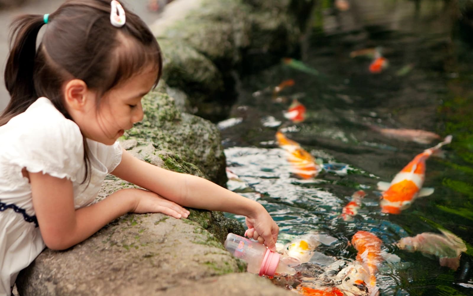Underwater World Pattaya tickets in Pattaya - Attractions | TickYourList