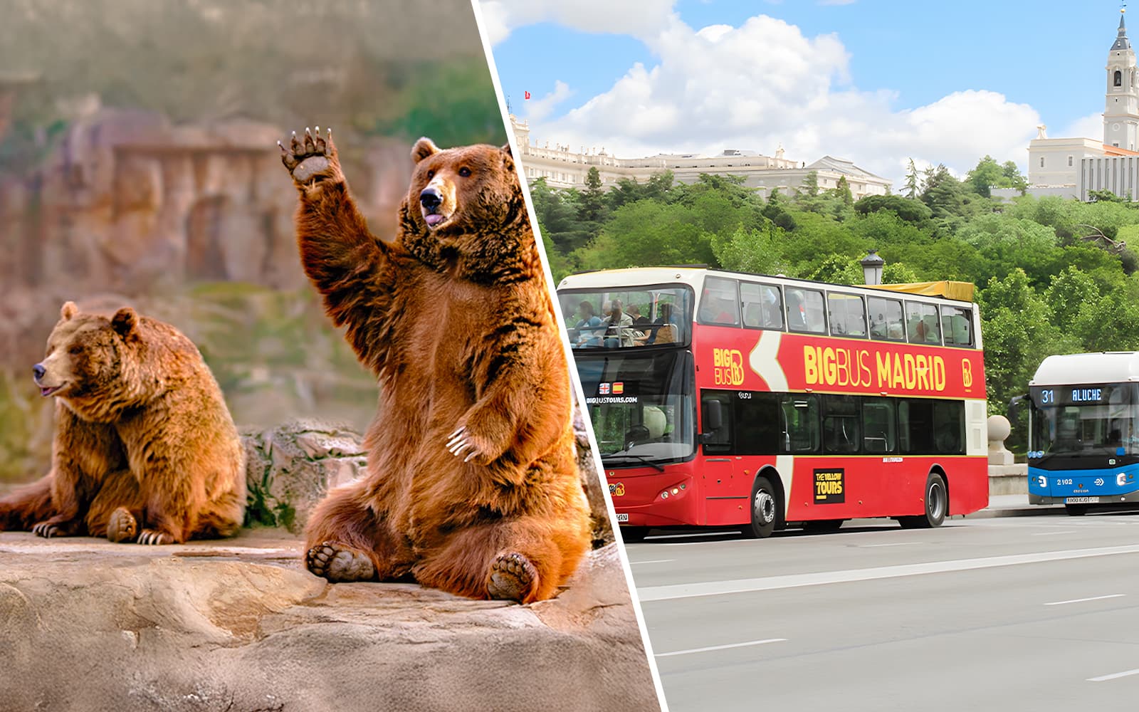 Combo (Save 8%): Madrid Zoo Aquarium Tickets + Madrid Panoramic View Bus Tour