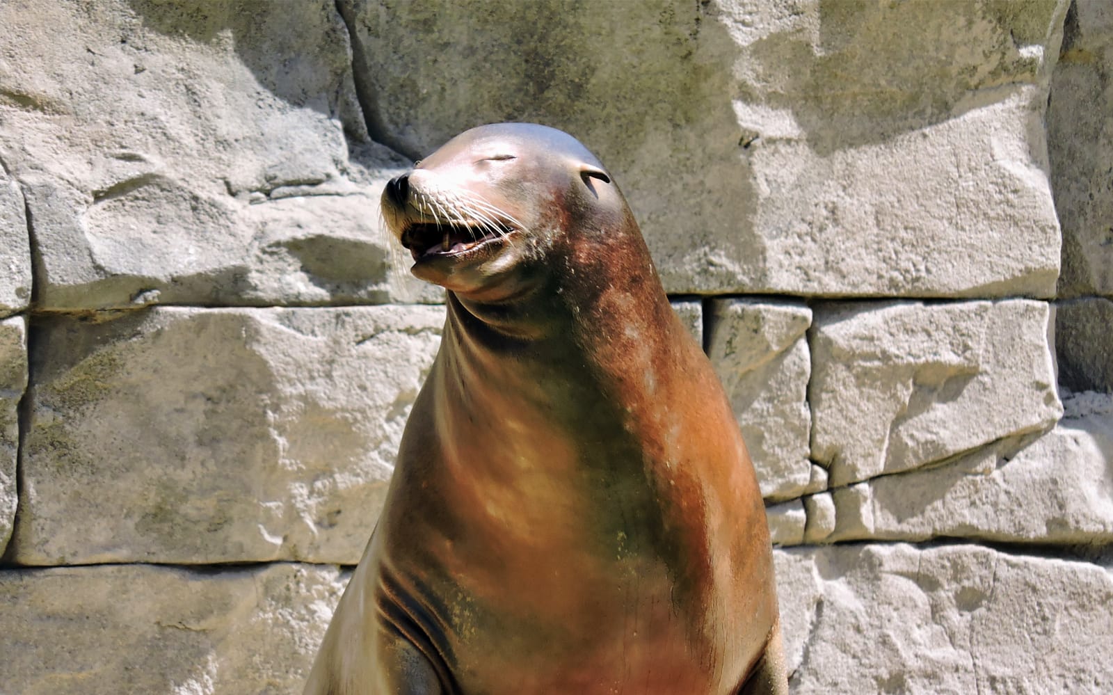 Skip-the-Line Tickets to Faunia in Madrid - Attractions | TickYourList