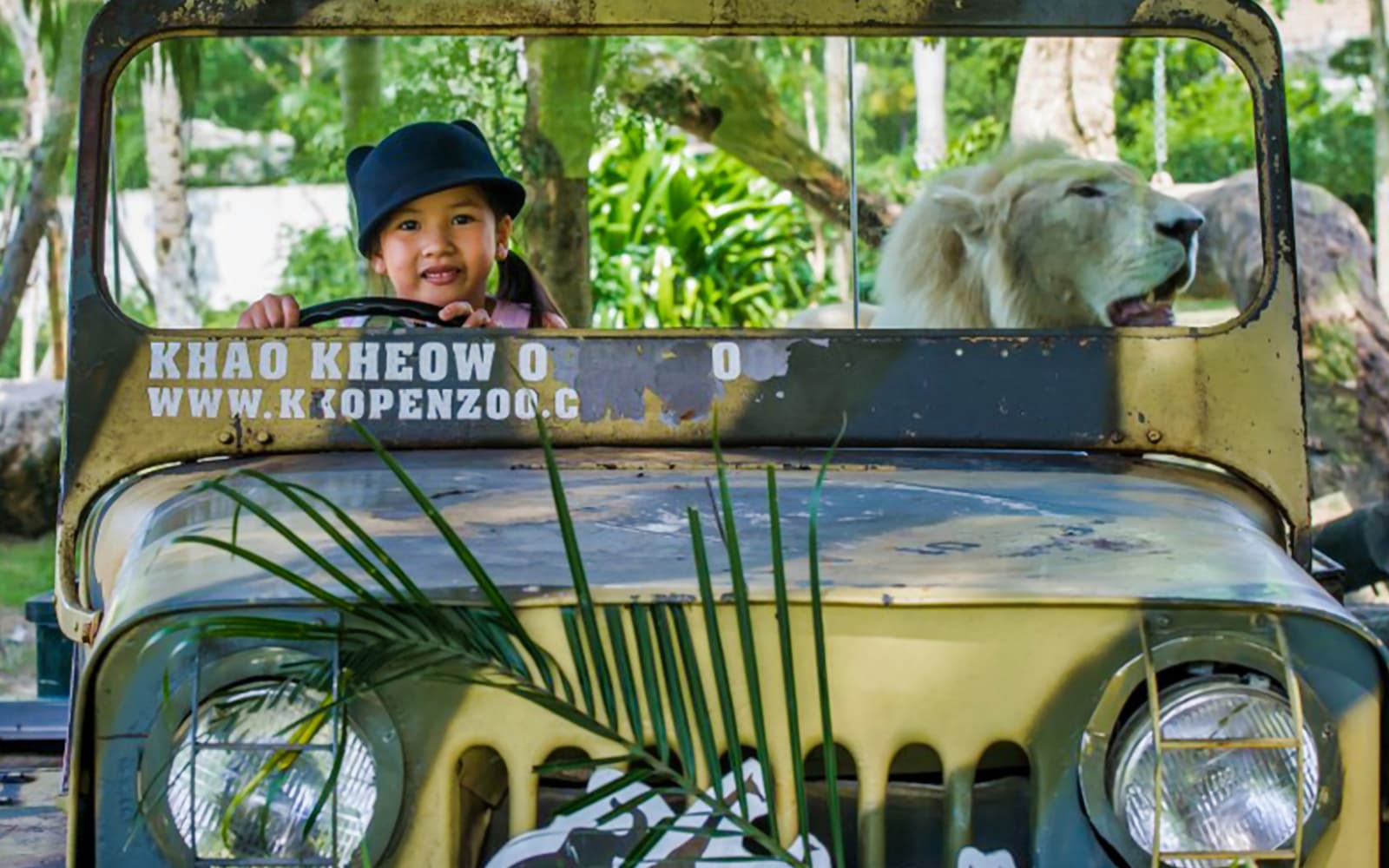 Tickets to Khao Kheow Open Zoo in Pattaya - Features | TickYourList