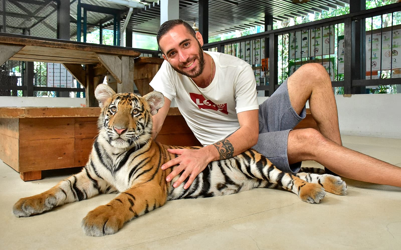 Tiger Park Tickets with Tiger Interactions: Non-Thai Residents