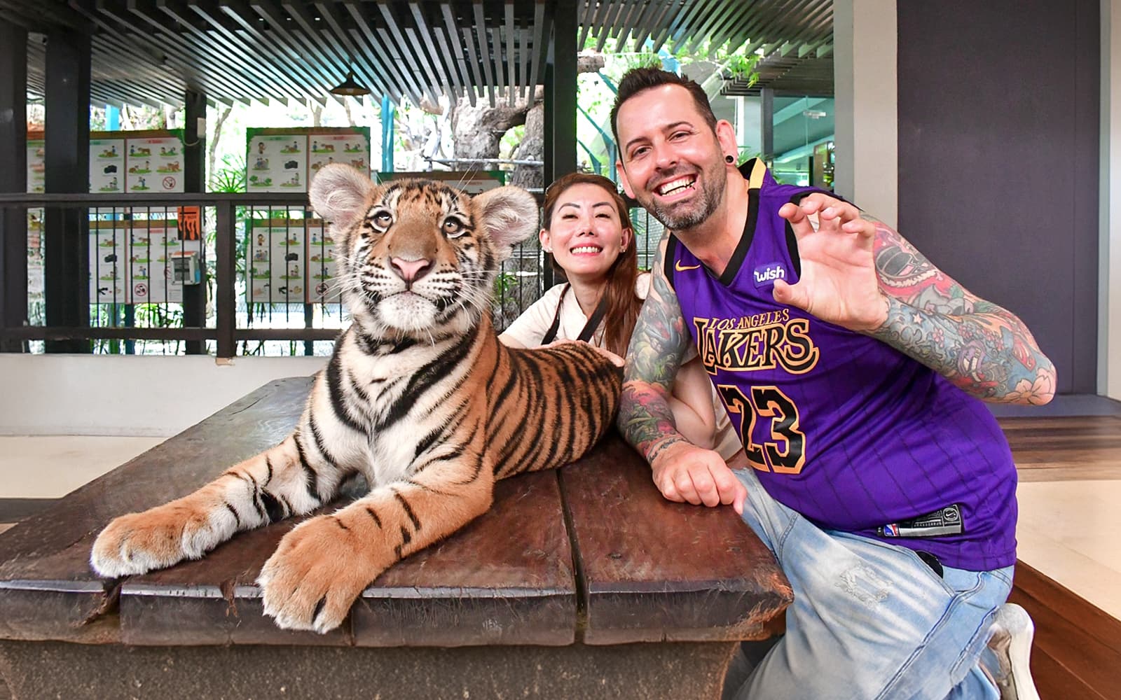 Tiger Park Tickets: Non-Thai Residents experience in Pattaya | TickYourList