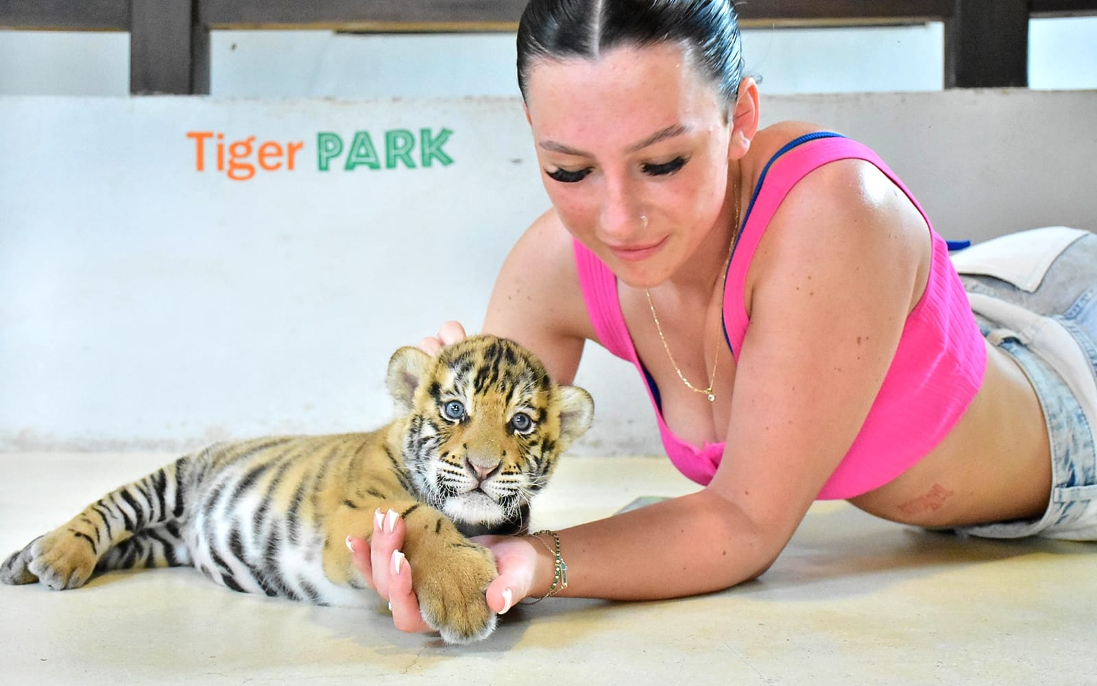 Tiger Park Tickets: Non-Thai Residents in Pattaya - Activities | TickYourList