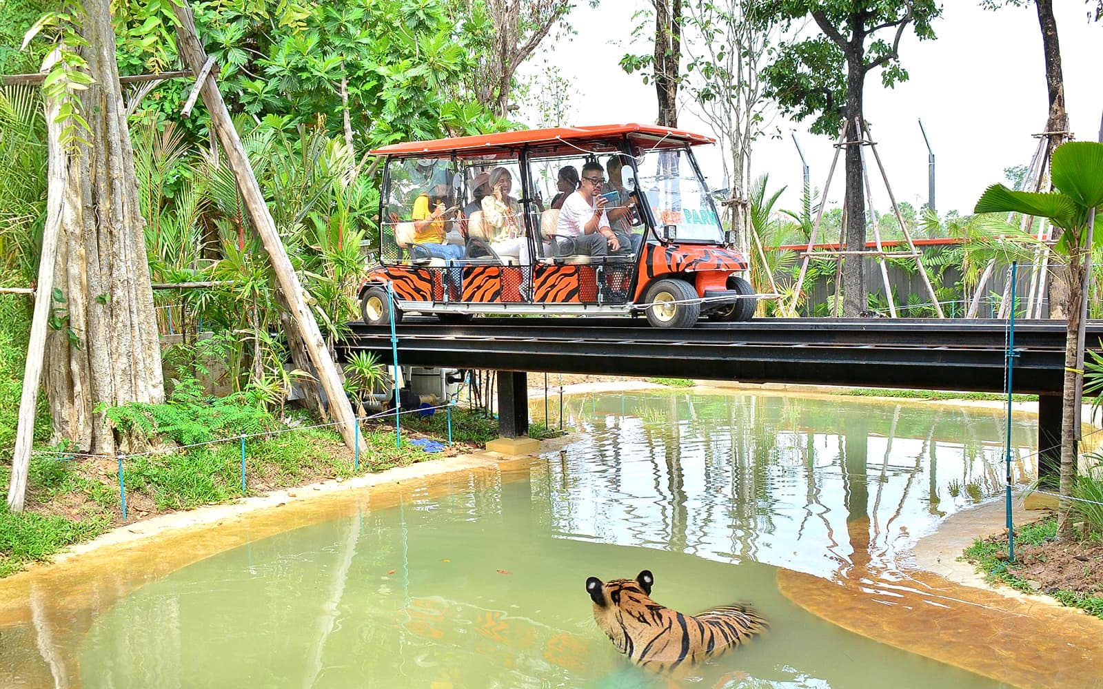 Tiger Park Tickets: Non-Thai Residents in Pattaya - Features | TickYourList