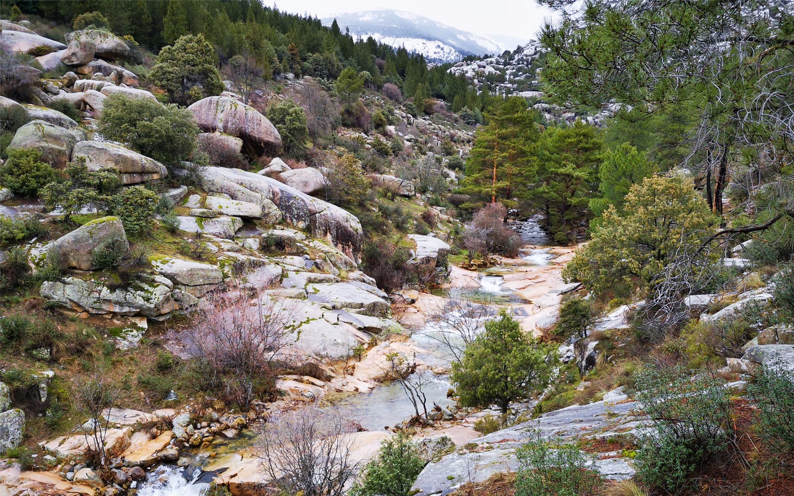 Day Trip to Guadarrama National Park