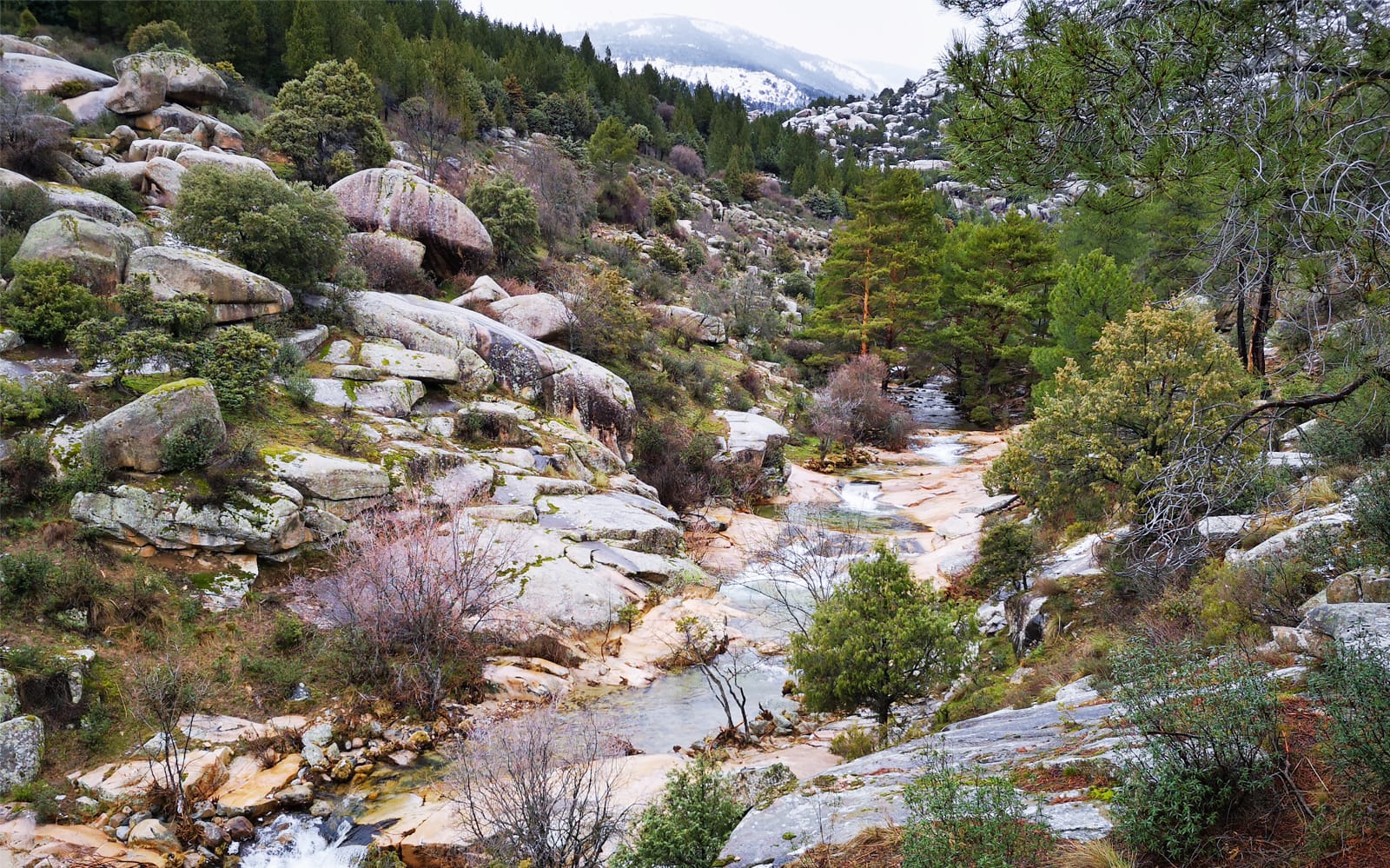 Day Trip to Guadarrama National Park