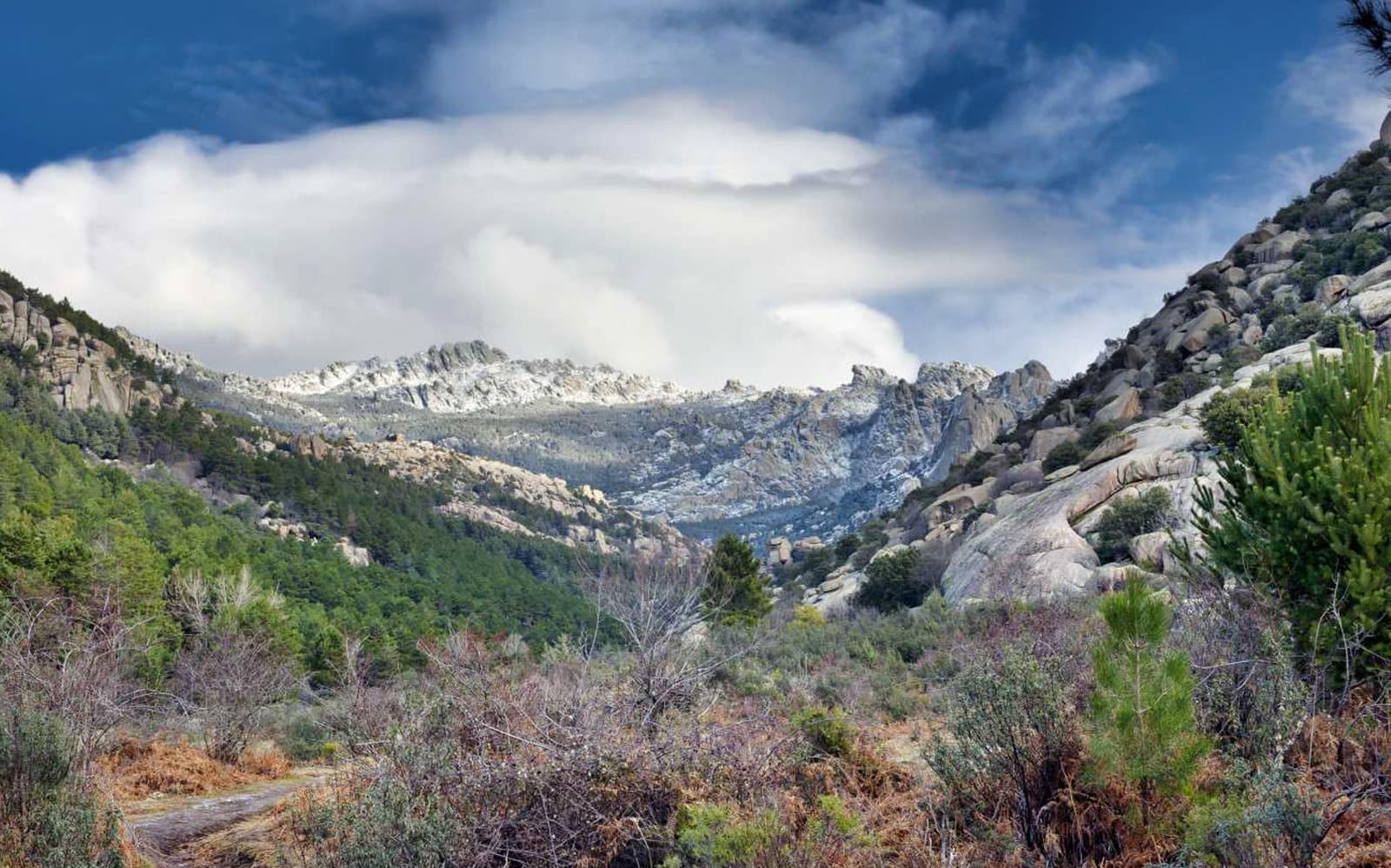 Day Trip to Guadarrama National Park tickets in Madrid - Attractions | TickYourList