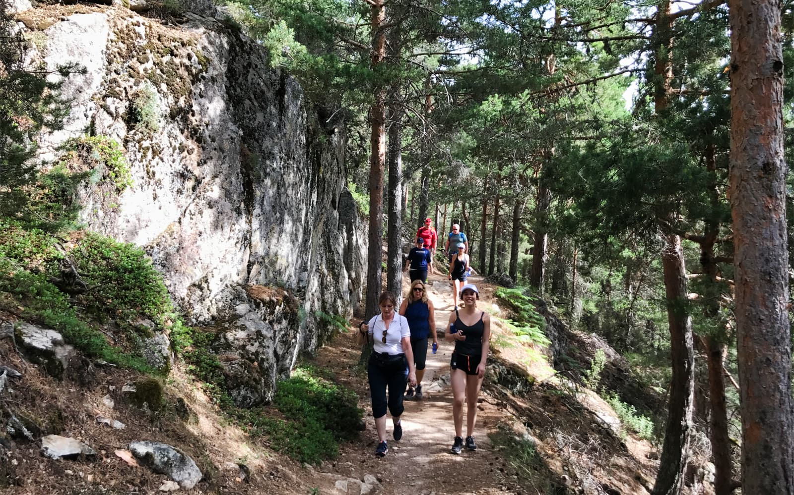 Guadarrama National Park Hike in Madrid with Transfers tickets in Madrid - Attractions | TickYourList