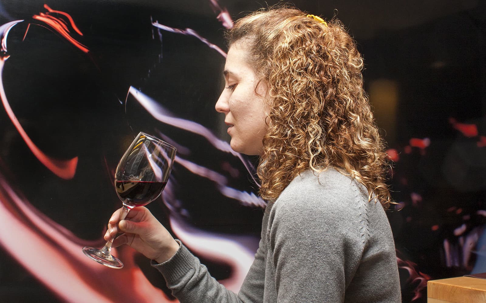 Guided Tour of Toledo with Wine Tasting & 7 Monuments tickets in Madrid - Activities | TickYourList