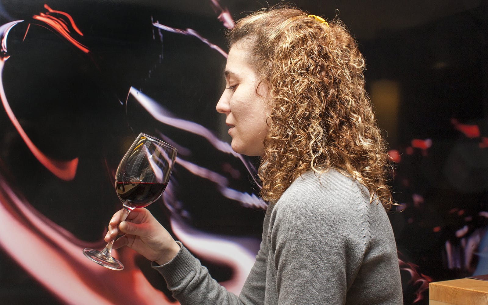 Guided Tour of Toledo with Wine Tasting & 7 Monuments tickets in Madrid - Activities | TickYourList