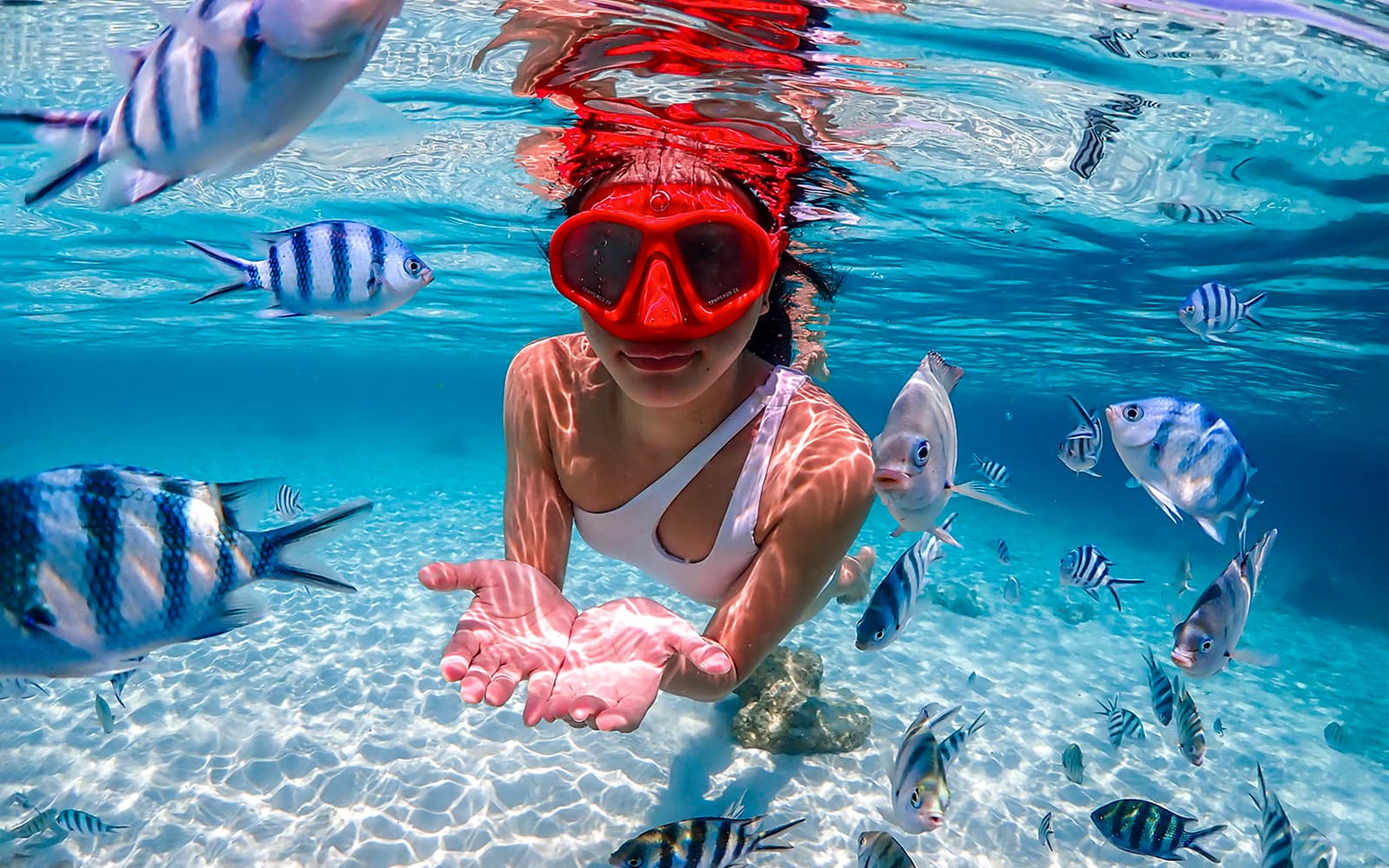 From Pattaya: Nemo Island Guided Trip with Lunch & Drone Photos