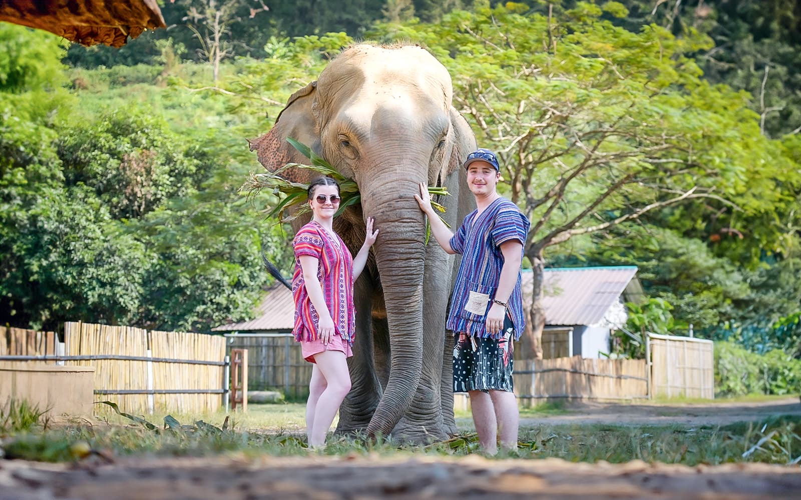 Elephant Jungle Sanctuary Experience in Chiang Mai