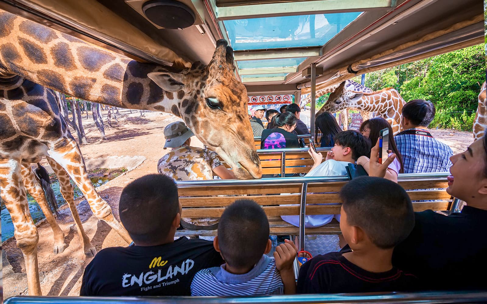 Chiang Mai Night Safari Tickets: Non Thai Residents in Chiang Mai - Attractions | TickYourList