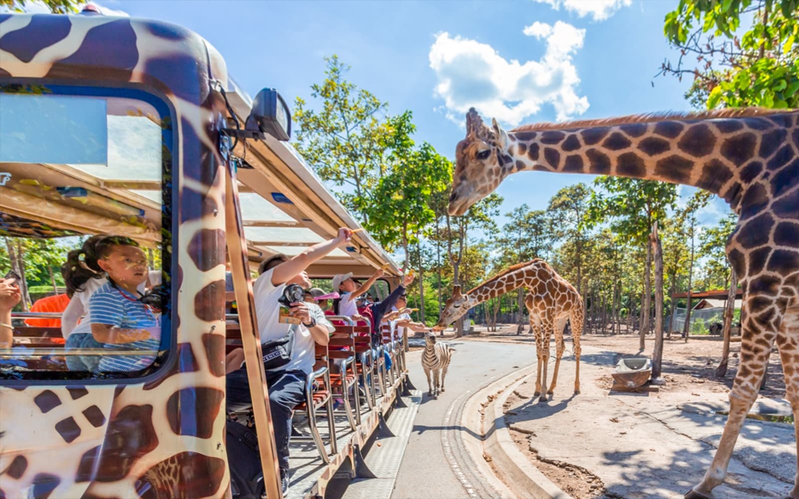 Chiang Mai Night Safari Tickets: Non Thai Residents in Chiang Mai - Activities | TickYourList