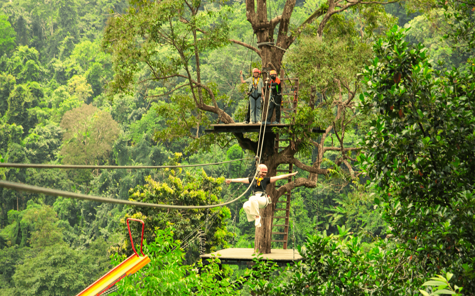 Pongyang Jungle Coaster: Zipline Tickets