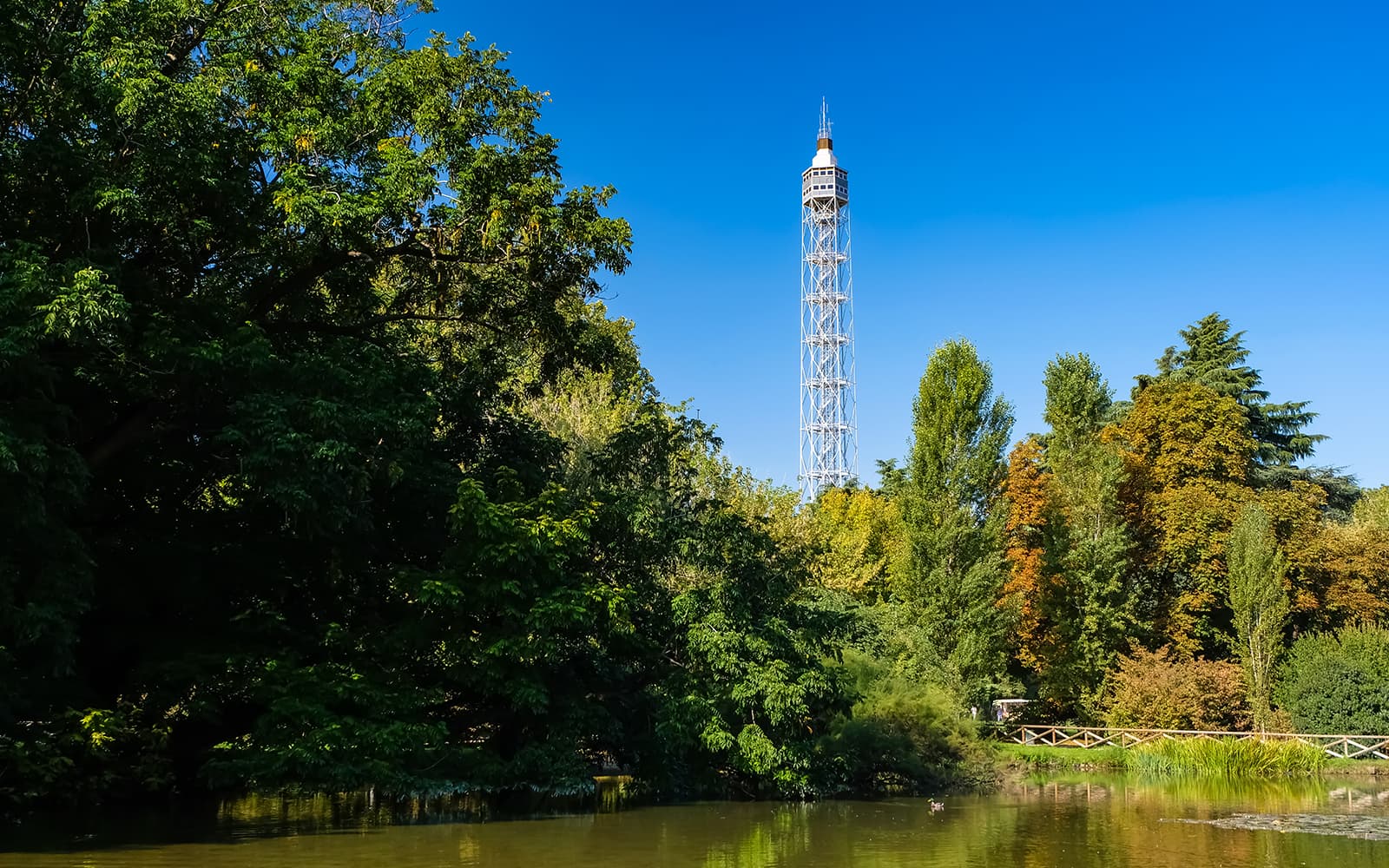 Torre Branca & Sforza Castle Guided Tour with Park Walk