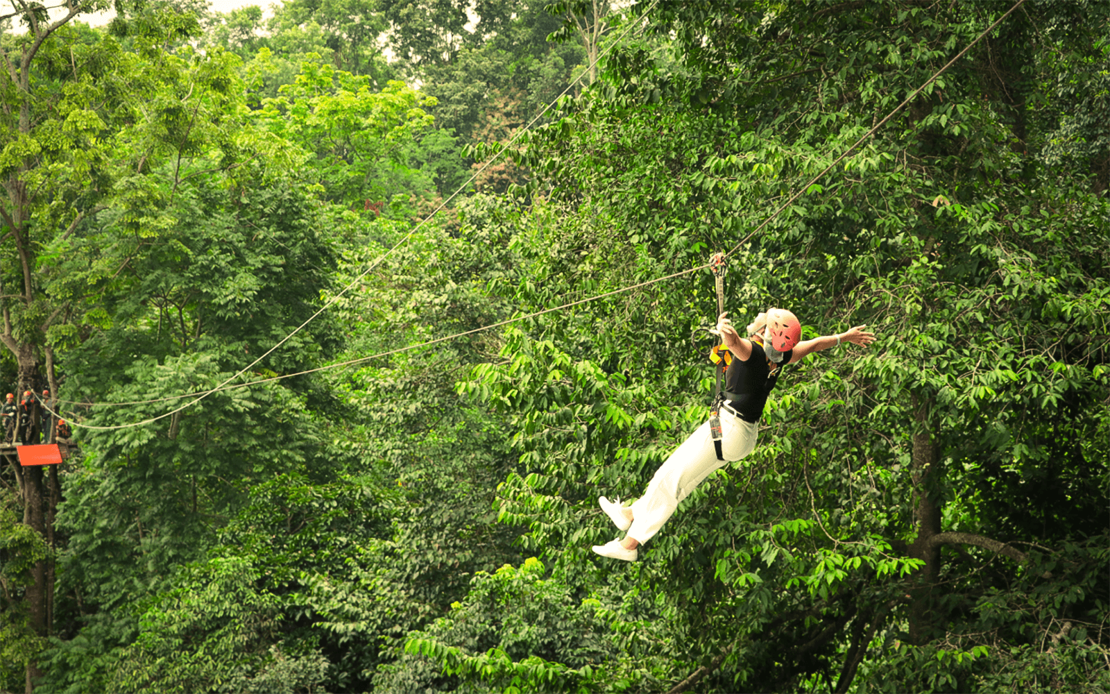 Pongyang Jungle Coaster: All-inclusive Adventure Packages (With Transfers) tickets in Chiang Mai - Activities | TickYourList