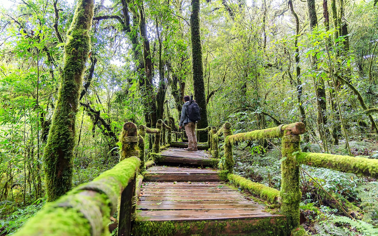 From Chiang Mai: Doi Inthanon National Park Full-Day Join in Tour with Lunch & Transfers tickets in Chiang Mai - Features | TickYourList