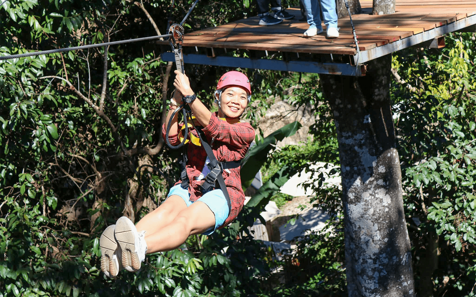 Pongyang Jungle Coaster: Ziplining + Jungle Coaster Packages (with Transfers)