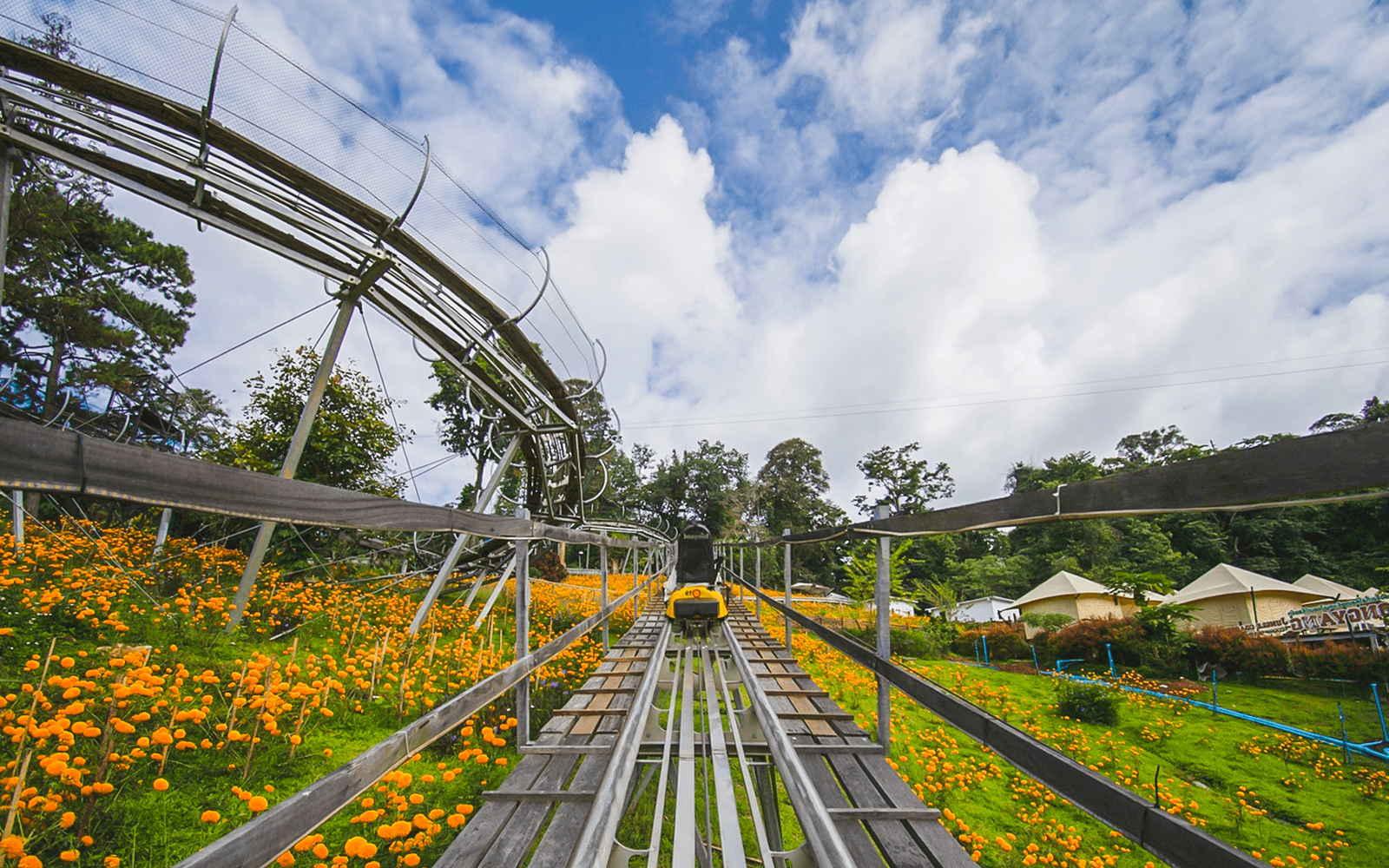 Pongyang Jungle Coaster: Ziplining + Jungle Coaster Packages (with Transfers) tickets in Chiang Mai - Highlights | TickYourList