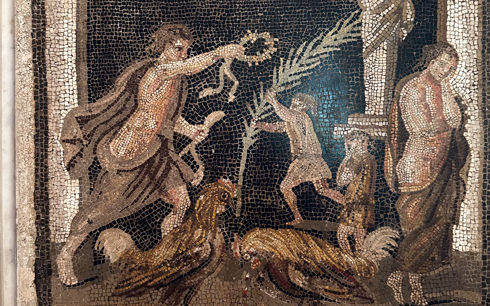 Naples Archaeological Museum Tickets + Digital Guidebook in Naples - Highlights | TickYourList