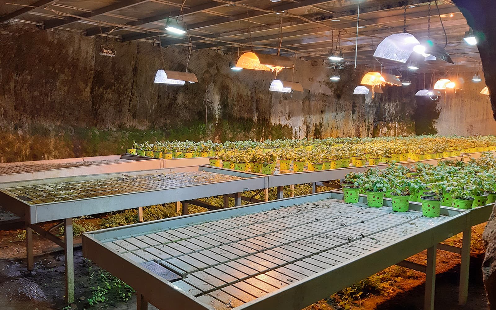 Naples Underground Skip-the-Line Ticket and Guided Tour in Naples - Features | TickYourList