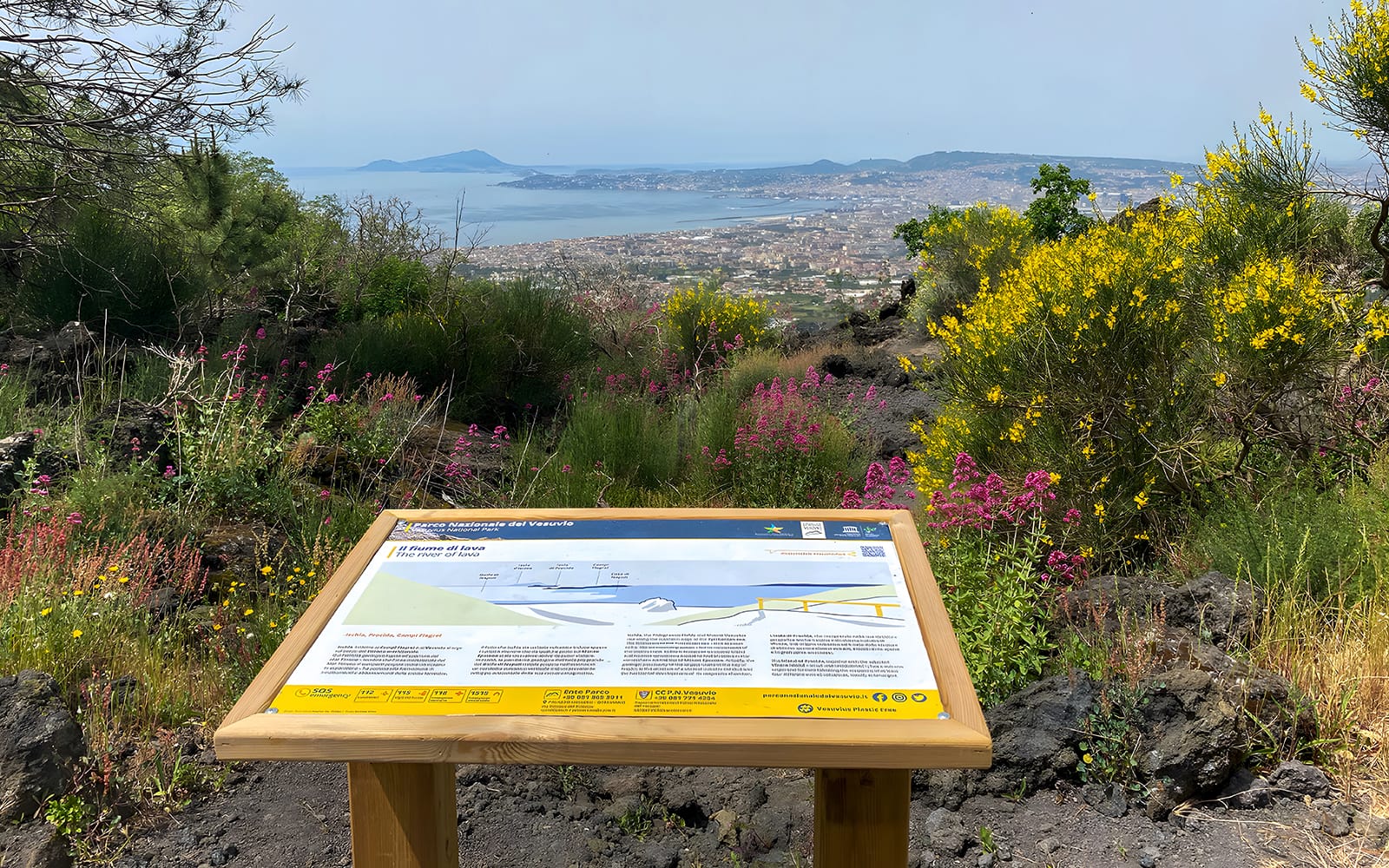 From Naples: Mount Vesuvius Entry Tickets with Round-Trip Transfers in Naples - Attractions | TickYourList