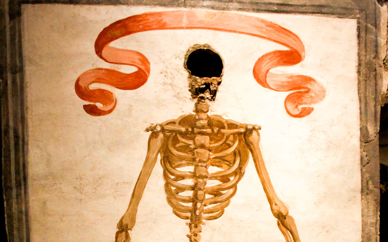 Catacombs of San Gaudioso Entry Tickets & Guided Tour in Naples - Attractions | TickYourList