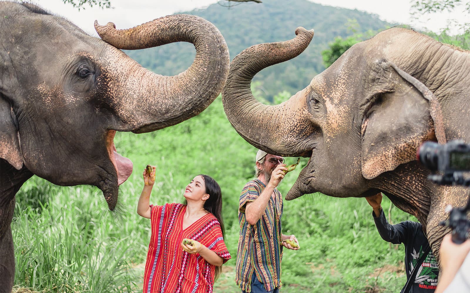 6-Hour Tour of Elephants Care Camp at Chiang Mai experience tickets in Chiang Mai | TickYourList