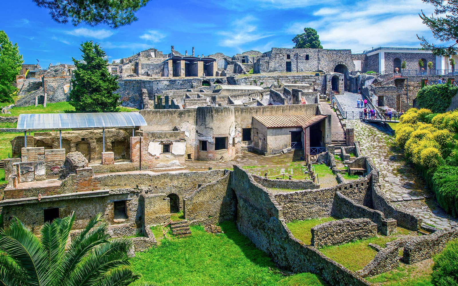 Pompeii Skip-the-Line Tickets with a Guidebook
