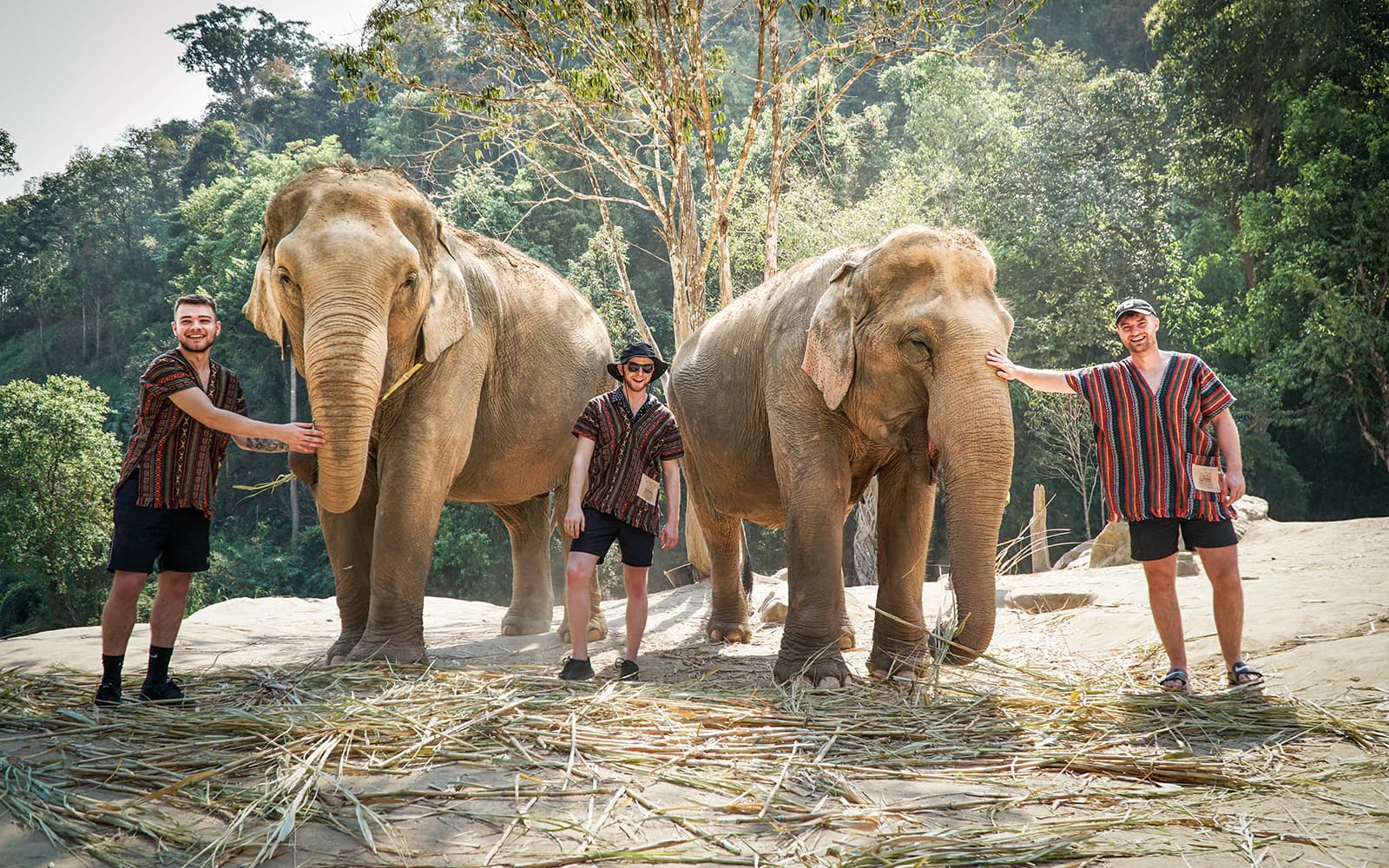 Elephant Jungle Sanctuary Guided Tour and Mama Noi Thai Cooking Class