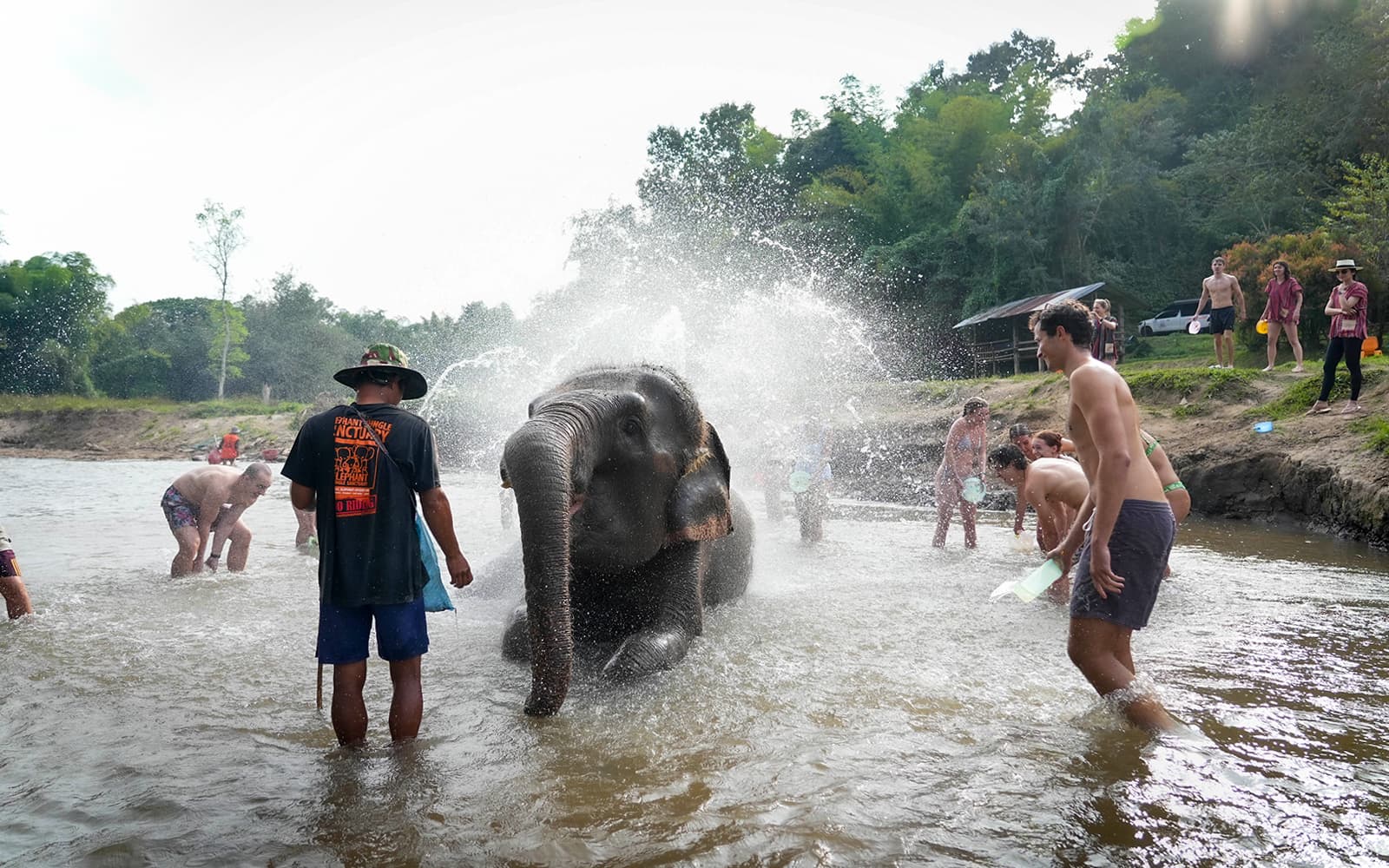 Elephant Jungle Sanctuary Guided Tour and Mama Noi Thai Cooking Class tickets in Chiang Mai - Attractions | TickYourList