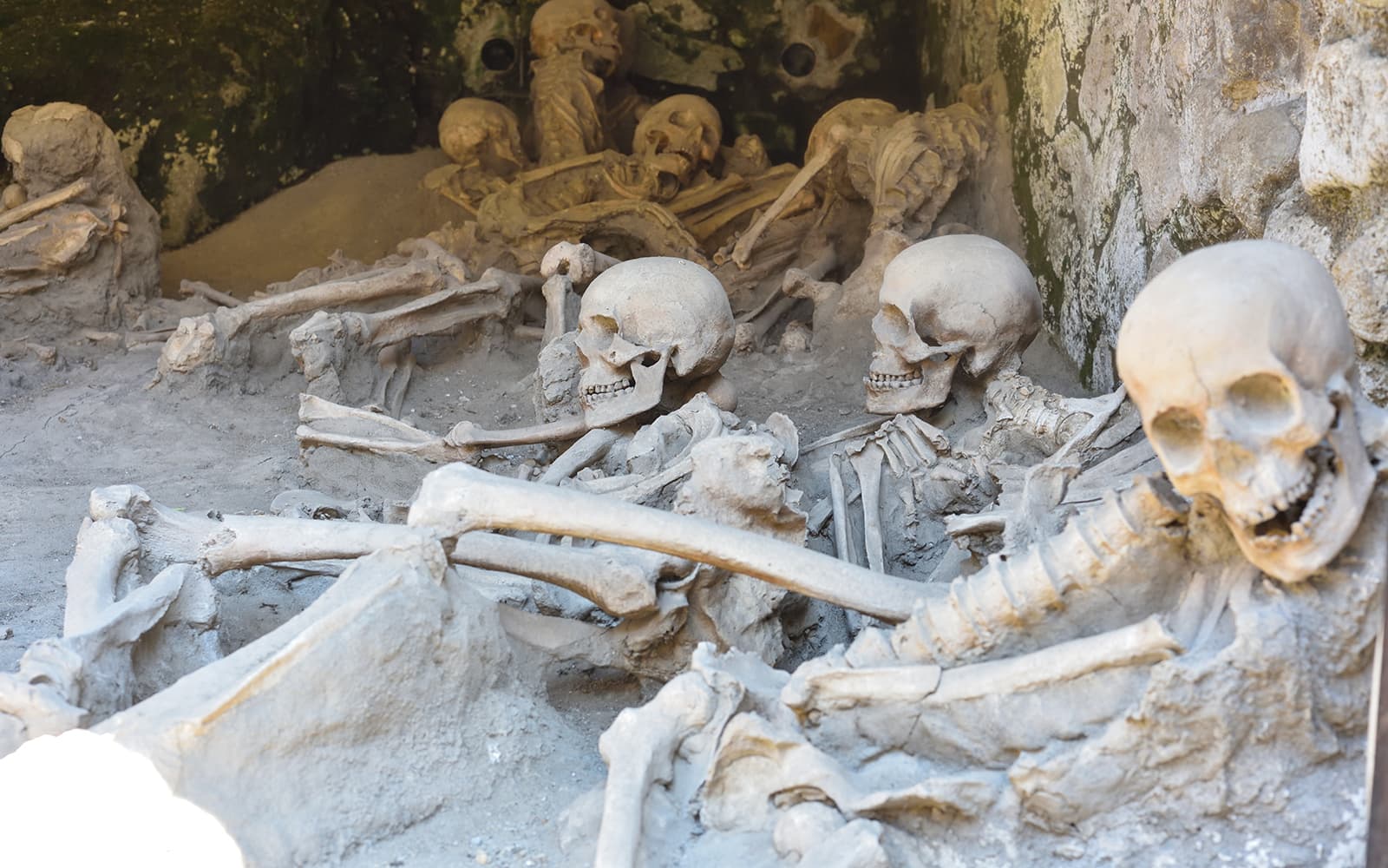 From Sorrento: Herculaneum Skip-the-Line Guided Tour tickets in Sorrento - Activities | TickYourList