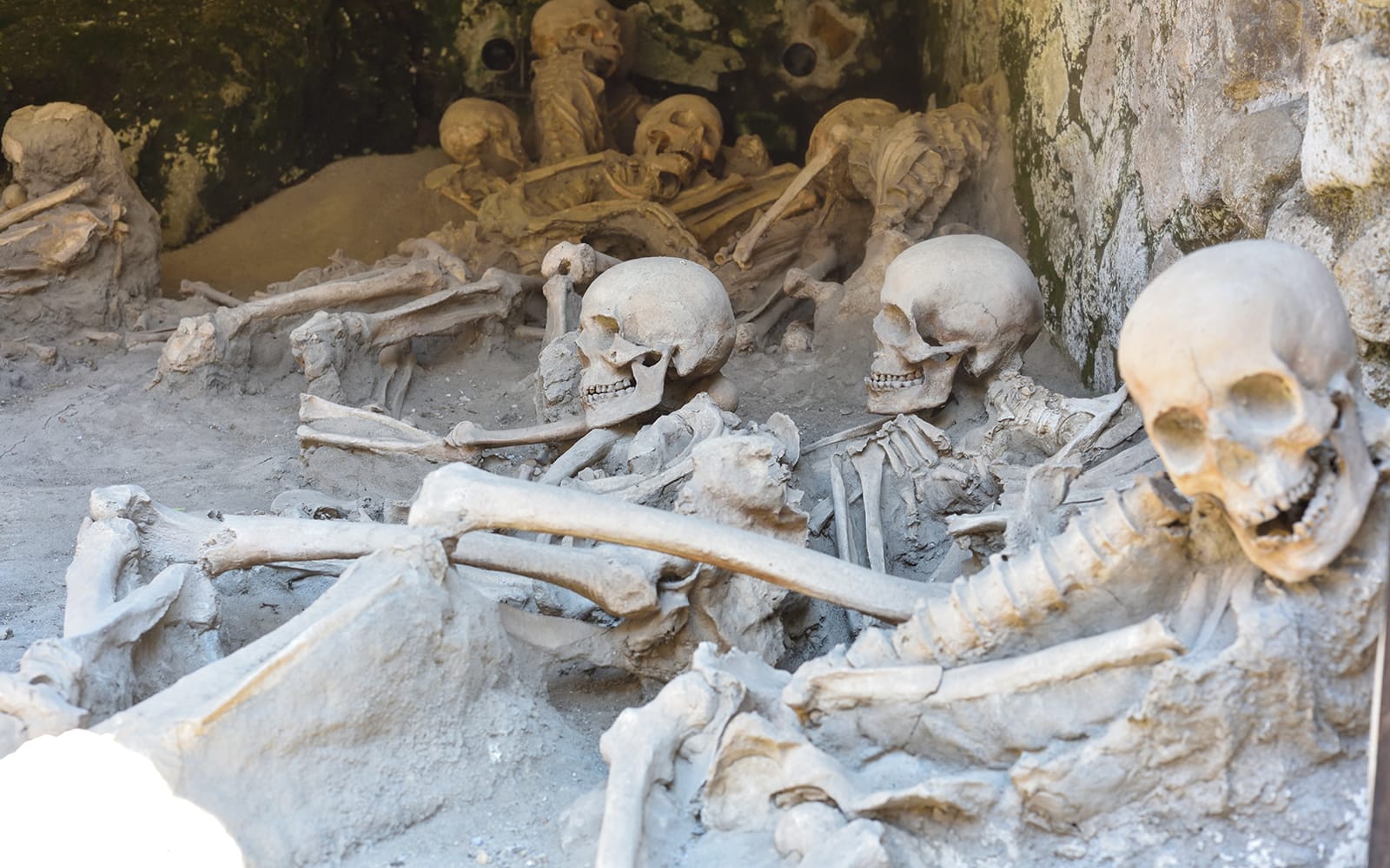 From Sorrento: Herculaneum Skip-the-Line Guided Tour tickets in Sorrento - Activities | TickYourList