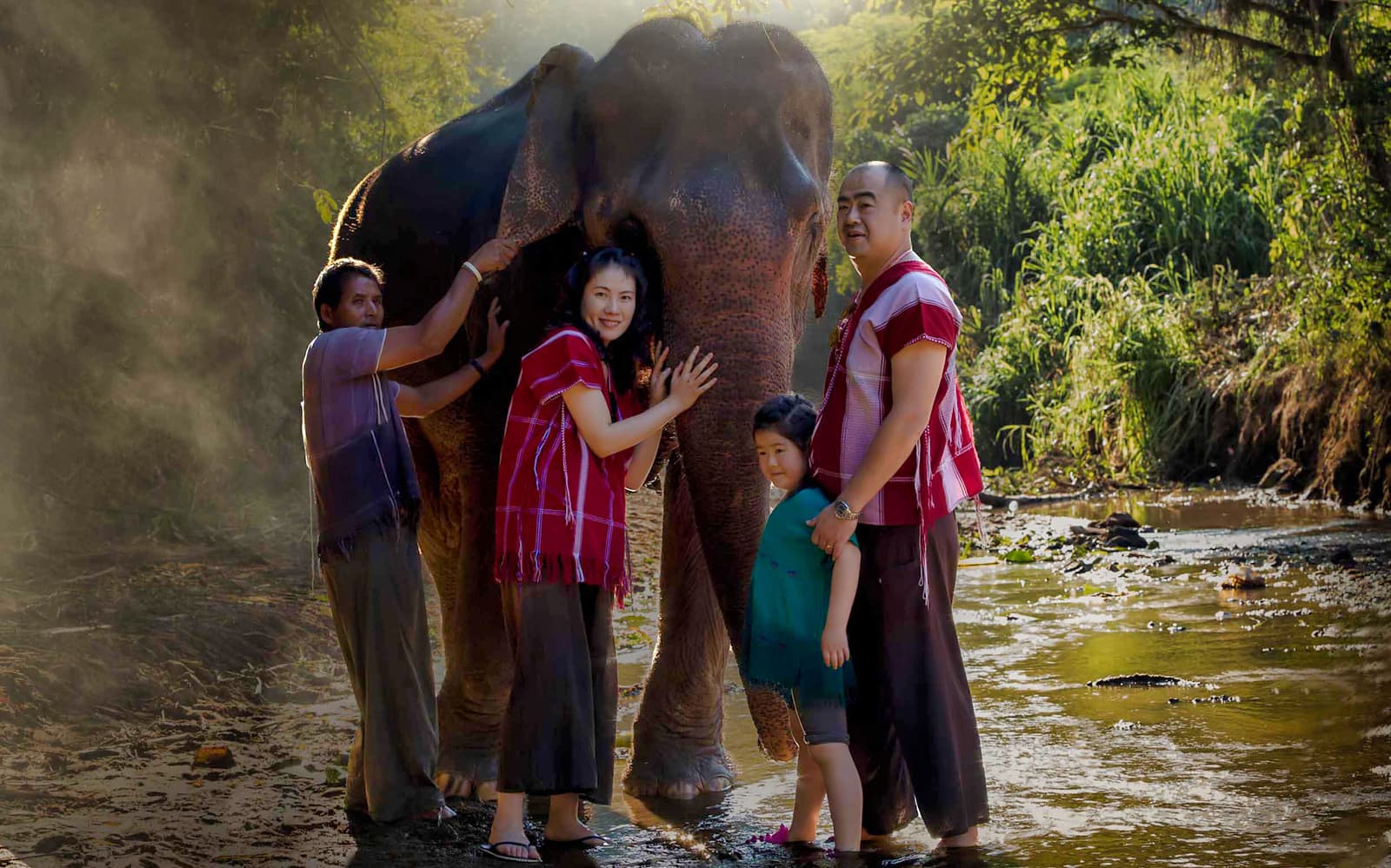 Ker Chor Elephant Eco Park Guided Tour with Round Trip Transfers