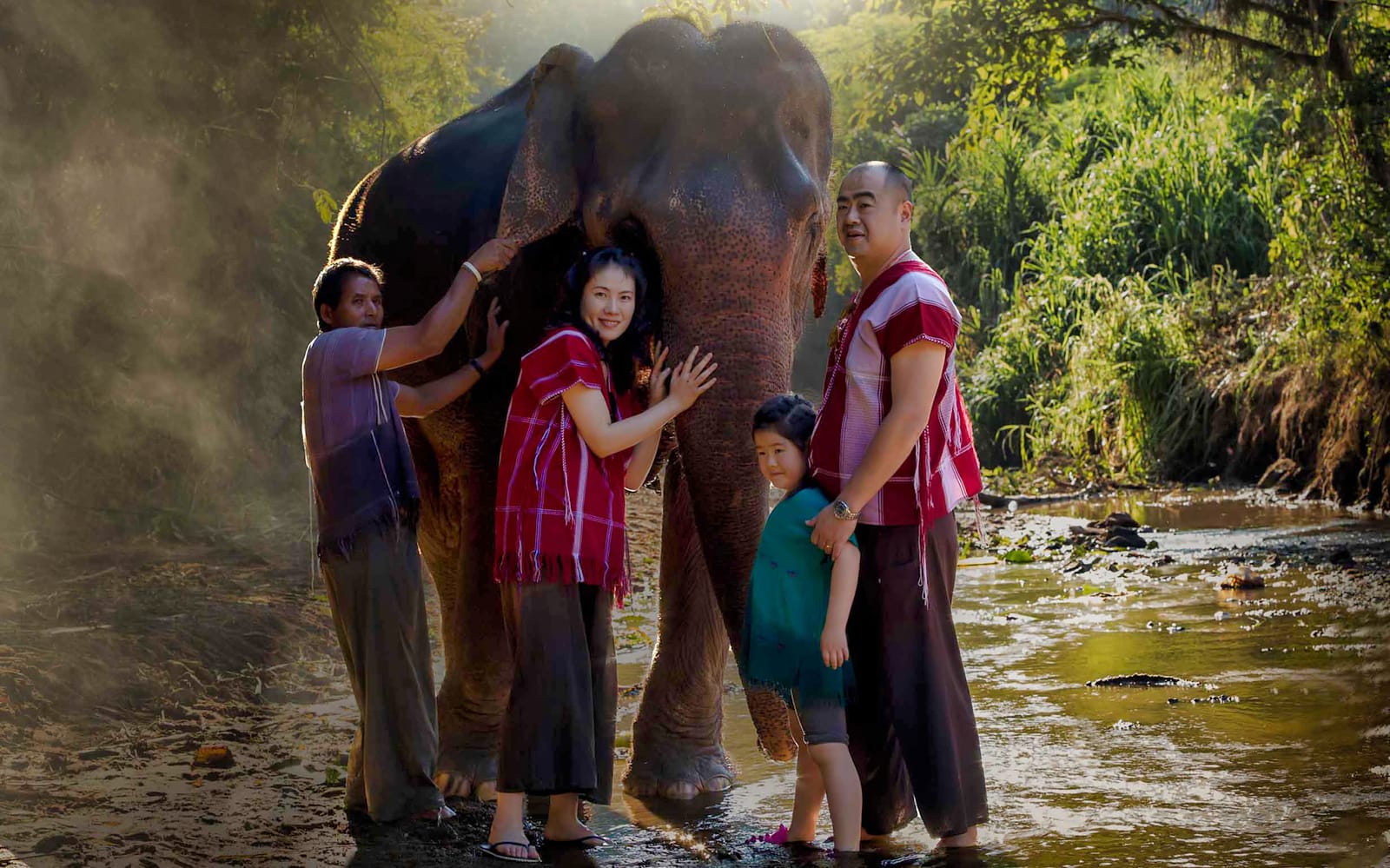 599957f0-731f-487a-aa94-66214365692c-13021-chiang-mai-ker-chor-elephant-eco-park-guided-tour-with-round-trip-transfers-02.jpg
