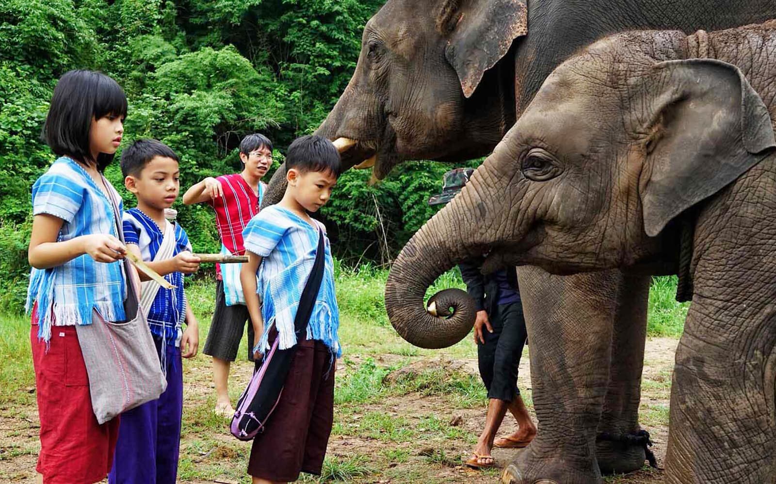Ker Chor Elephant Eco Park Guided Tour with Round Trip Transfers tickets in Chiang Mai - Highlights | TickYourList