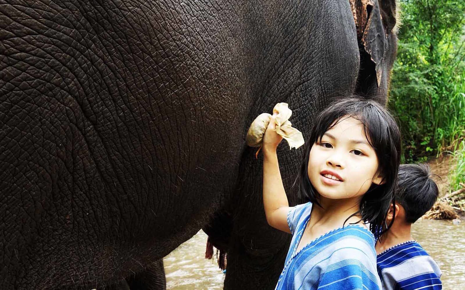 Ker Chor Elephant Eco Park Guided Tour with Round Trip Transfers tickets in Chiang Mai - Features | TickYourList