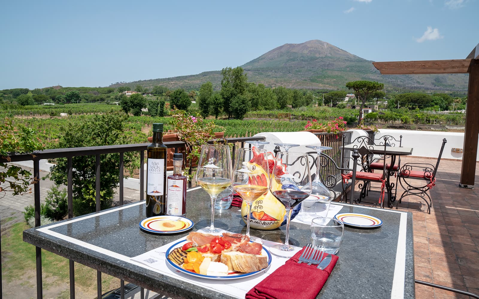 From Naples: Wine Tasting & Lunch on the Slopes of Vesuvius