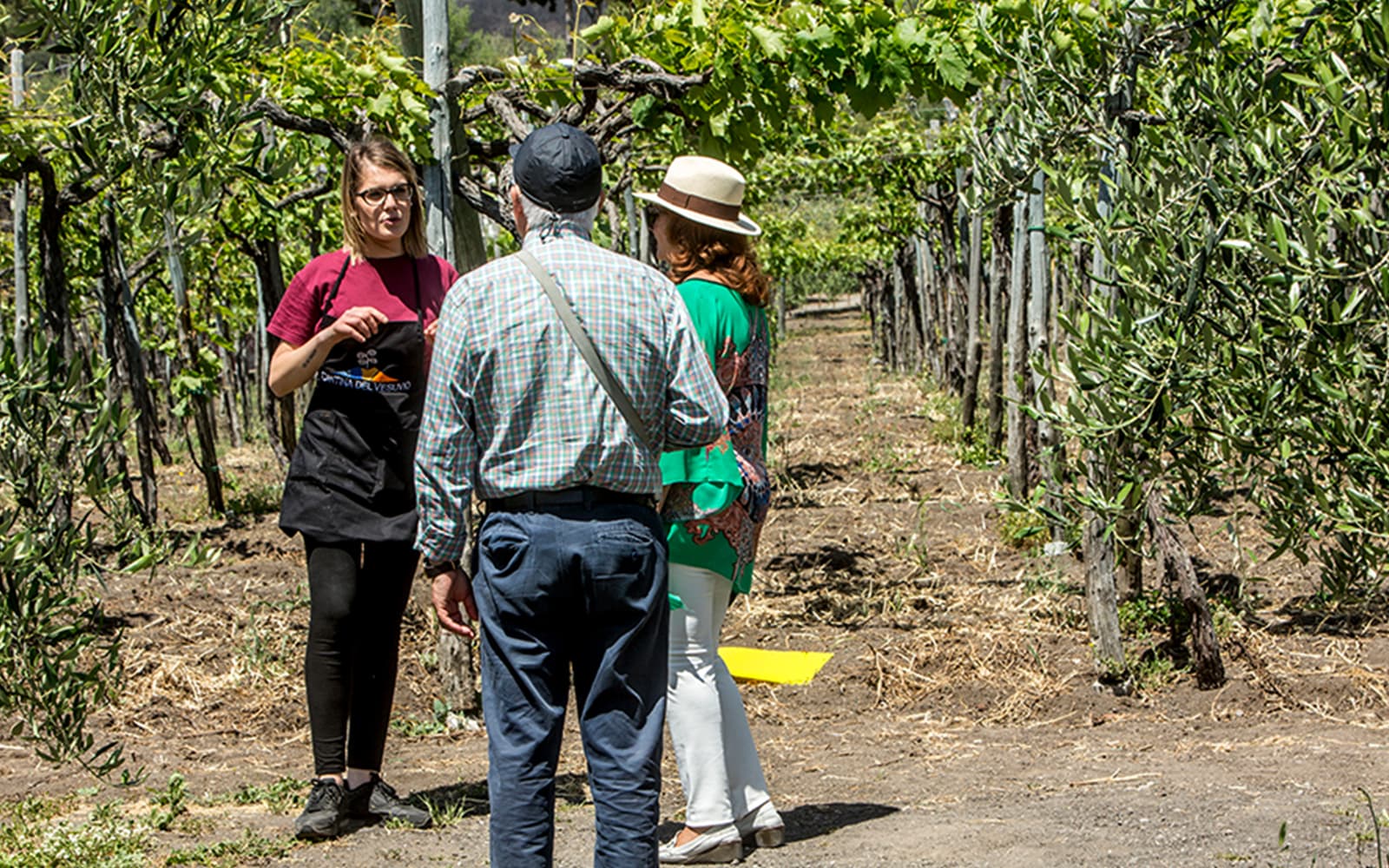 From Naples: Wine Tasting & Lunch on the Slopes of Vesuvius tickets in Naples - Activities | TickYourList
