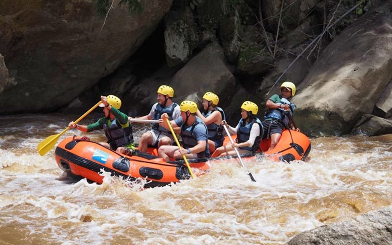 Ran Tong Elephant Care Experience with Round Trip Transfers tickets in Chiang Mai - Activities | TickYourList