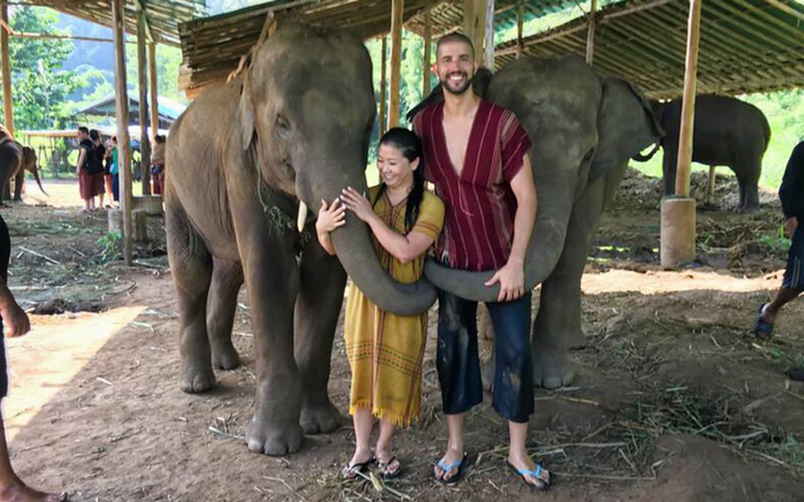 Ran Tong Elephant Care Experience with Round Trip Transfers tickets in Chiang Mai - Features | TickYourList