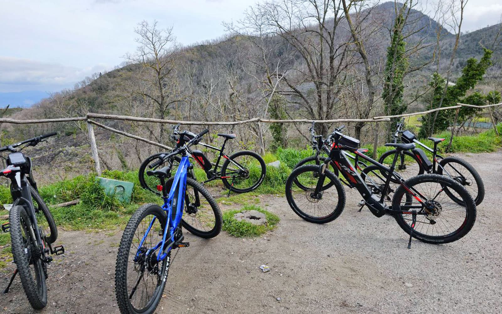 From Sorrento: Mount Vesuvius Guided E-Bike Tour tickets in Naples - Activities | TickYourList