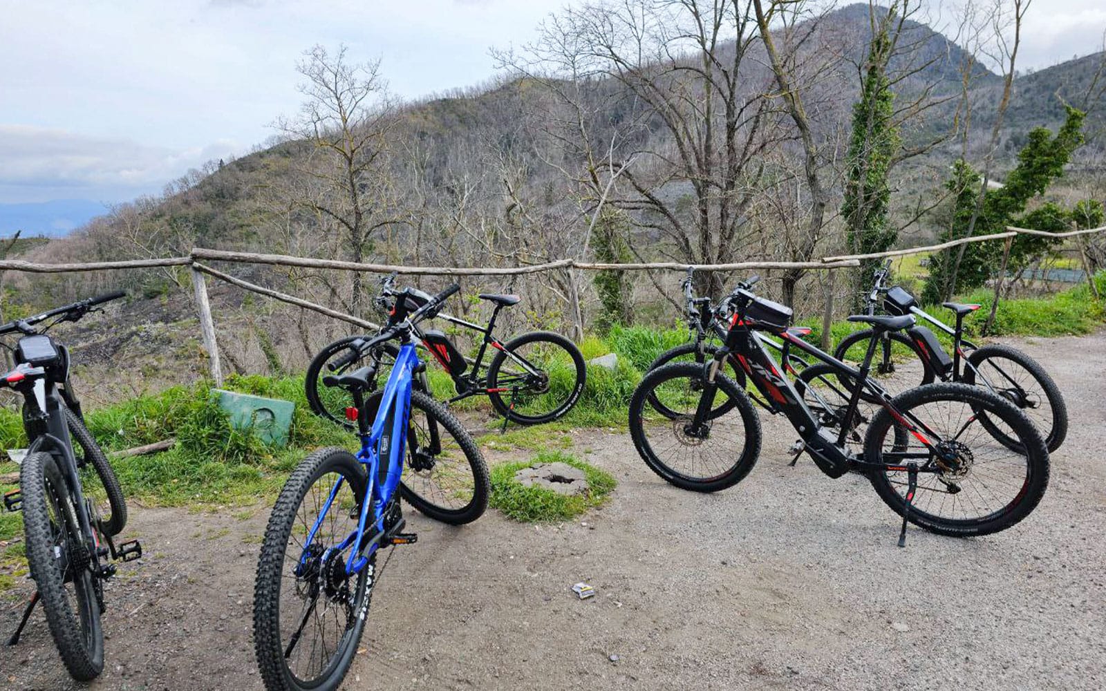 From Sorrento: Mount Vesuvius Guided E-Bike Tour tickets in Naples - Activities | TickYourList