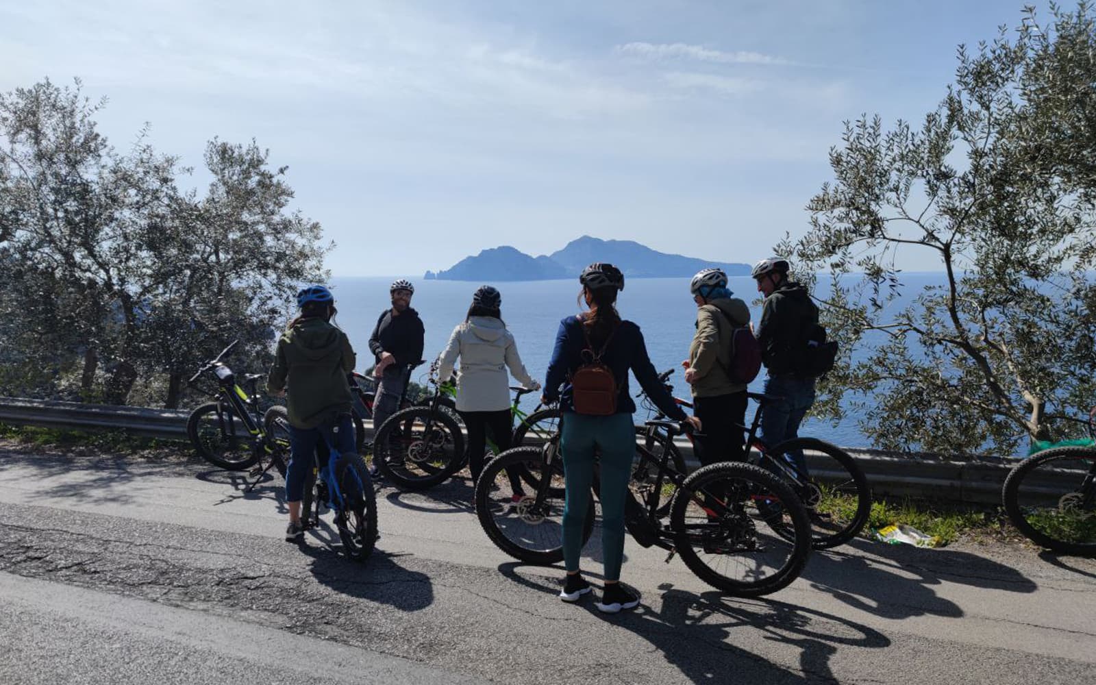 From Sorrento: Mount Vesuvius Guided E-Bike Tour tickets in Naples - Full Experience | TickYourList