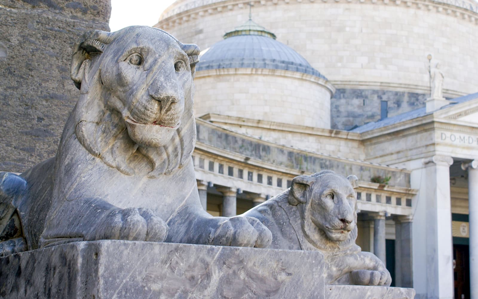 Guided Tour of Naples Dedicated to Maradona by Train from Rome tickets in Rome - Activities | TickYourList