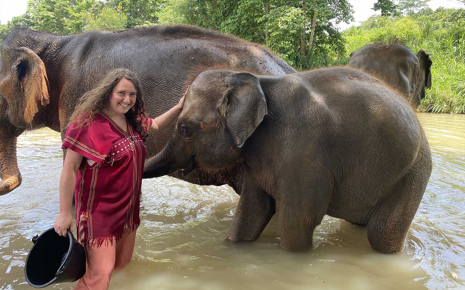 Half-Day Guided Elephant Tour in Chiang Mai with Optional Hotel Transfers tickets in Chiang Mai - Features | TickYourList