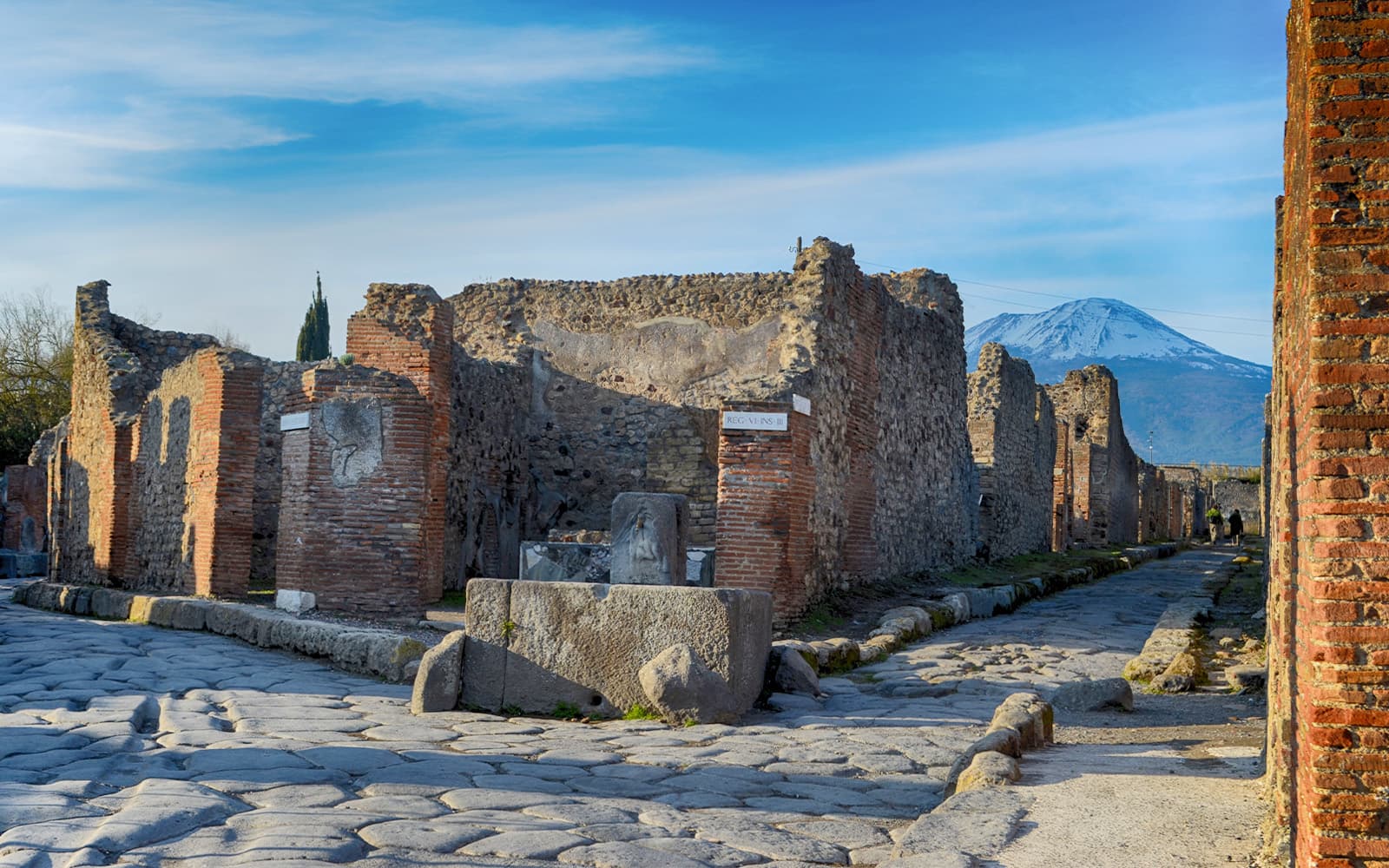 Skip-the-Line Guided Tour of Pompeii & Mt. Vesuvius with Express Train Transfers from Sorrento tickets in Naples - Activities | TickYourList