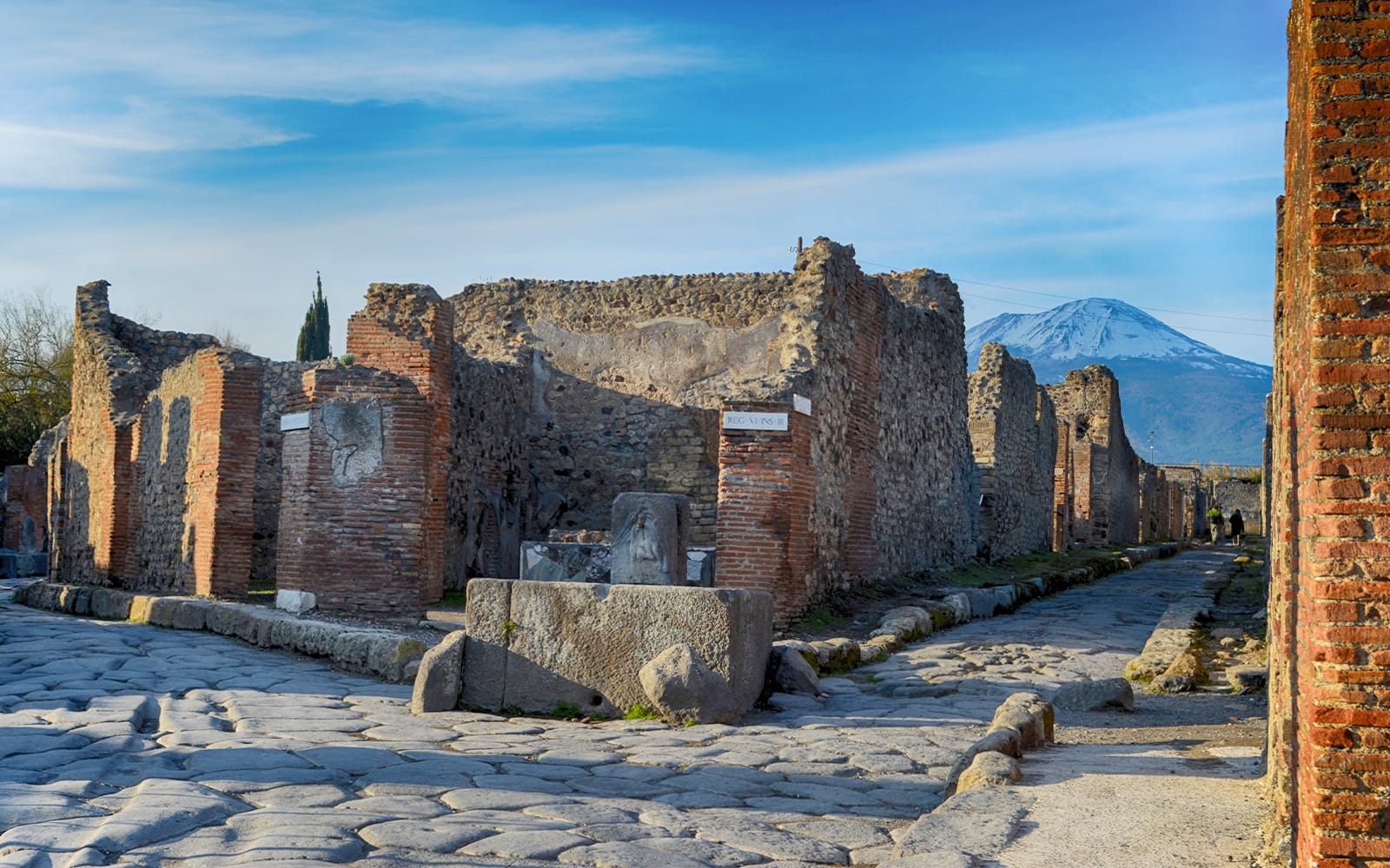 Skip-the-Line Guided Tour of Pompeii & Mt. Vesuvius with Express Train Transfers from Sorrento tickets in Naples - Activities | TickYourList